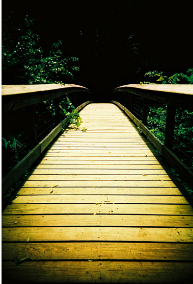 Adaptive Action Bridge