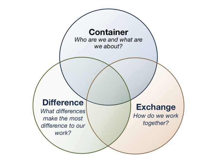 Human Systems Dynamics CDE Model